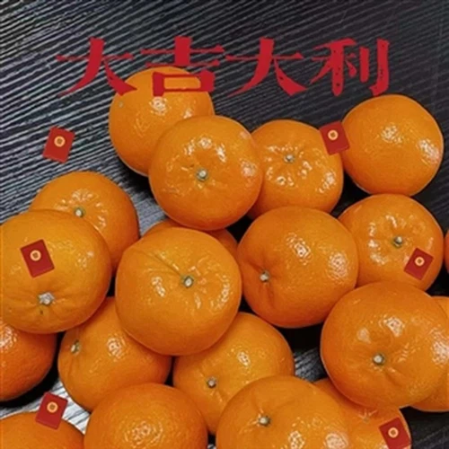 TF Industrial co. Ferroalloy, uplovite i ponovno stvorite sjaj 2025. godine!